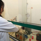Una investigadora trabajando en el Instituto de Recursos Naturales de la Universidad.