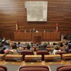 Pilar del Olmo expuso ayer el planteamiento que trasladará al Consejo de Gobierno.