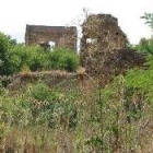 La maleza invade el interior de lo que fue el recinto monacal