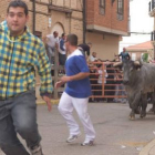 Imagen del primer encierro celebrado ayer en las Fiestas de Sahagún.