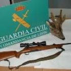 Rifle que se intervino al furtivo junto a la cabeza del corzo abatido