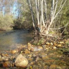 Aspecto que presenta el río Eria tras la actuación realizada por la confederación.