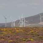 Iberdrola se ocupa de estudiar el impacto que causan los aerogeneradores.
