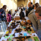 El claustro de San Marcos acogió la muestra