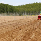 Un agricultor realiza la siembra en un campo de cultivo en la provincia. JESÚS F. SALVADORES