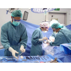 PImagen cedida por el Hospital Vall d’Hebron durante la realización de un trasplante de órganos en el centro sanitario. EFE