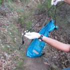 Uno de los agentes del Seprona muestra la cuerda con la que fue ahorcado uno de los perros, introducido por los agentes en la bolsa azul