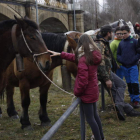 Muchos jóvenes se acercaron a ver y acariciar a las distintas especies equinas de la feria. CAMPOS