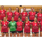 El equipo de voleibol del AULE. DL