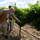 El consejero de Agricultura, Jesús Julio Carnero, durante la visita que ha efectuado a los viñedos de la comarca de Rueda. EFE
