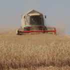 Imagen de archivo de una cosechadora que recoge el cereal en un campo de la provincia.