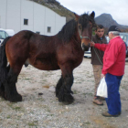Un joven ganadero del municipio de Puebla de Lillo con uno de los ejemplares de equino.