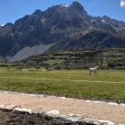 El espectacular paisaje por el que atraviesa la calzada romana de Vegarada, con el Pico Bodón al fondo. FOTO CORTESÍA DE EMILIO OREJAS
