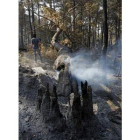 El fuego de Ávila se cobró dos vidas y 5.000 hectáreas.