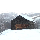 Imagen de una nevada en Villager de Laciana. JUANMA