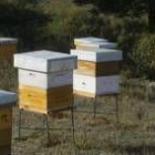 Ucale se congratula de la decisión de la consejería sobre los apicultores