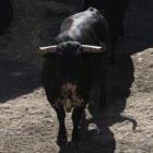 Uno de los toros de Victoriano del Río que se lidia hoy.