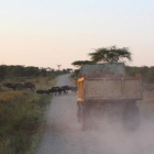 Un camión conduciendo por un camino en Tanzania.