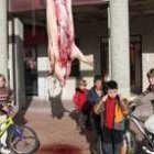 Los más pequeños que no han conocido la matanza se mostraron muy curiosos ante el cerdo