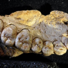 La mandíbula con dientes localizada en la cueva de Misliya, en Israel.