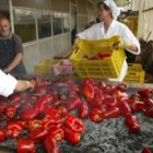 El pimiento es uno de los productos más representativos de la comarca del Bierzo