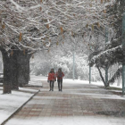 La nieve ya visitó la provincia hace dos semanas