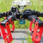 El robot se desplaza con una brújula sensible a la luz del cielo.