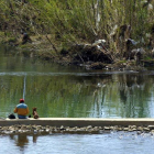 Un pescador con su perro en el río Bernesga a su paso por la ciudad
