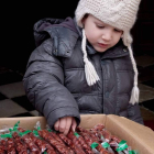 Un niño coge las deseadas almendras.