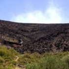Una de las zonas de monte bajo que han perecido bajo las llamas en el entorno de Anllarinos