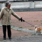Una señora pasea a su perro por Madrid. MARISCAL
