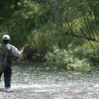 El río Esla es uno de los afectados al cambiar los límites de sus aguas trucheras. RAMIRO