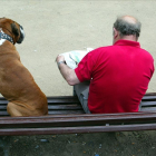 Un hombre y un perro, en un banco en Barcelona. /