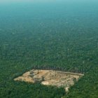 Deforestación por la tala ilegal en el Amazonas, en Brasil.
