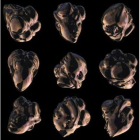 Detalle de los cráneos mutantes que forman parte de «Fin»