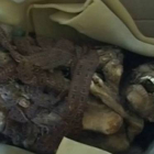 Hallada junto a la basura en Perú una momia preinca