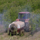 Un agricultor aplica un tratamiento en una parcela de manzanos, en el Bierzo. De la Mata