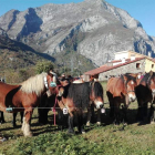 El ganado equino estuvo presente en la muestra. CAMPOS