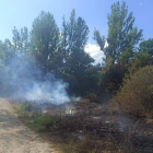 Al parecer este incendio pudo ser intencionado. ARAUJO