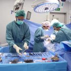 El hospital Vall d’Hebron de Barcelona realiza una intervención de trasplante de órganos. EFE