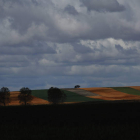 Belleza extrema para el paisaje de Valverde- Enrique, con sus campos de cereales y la torre de su iglesia recortándose en el horizonte. A la izquierda, la huella deuna avutarda.