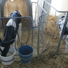 León perdió entre 2010 y 2013 un total de 127 granjas de vacuno de leche