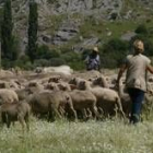 El ganadero puede registrar desde los nacimientos de reses hasta por dónde han pasado los animales