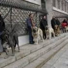 Los ganadores se concentraron ante el Palacio de Botines, antes de entrar a la Diputación