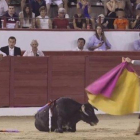 Imagen de una de las clases prácticas taurinas con novillos en Colmenar Viejo.