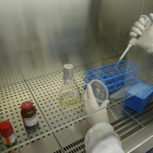 Laboratorio de la Unidad de Investigación del Hospital de León