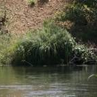 Imagen de archivo del río Porma al paso por la comarca del Condado