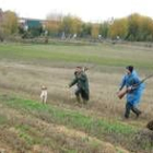 La caza menor con perro suele practicarse en mano de tres o más escopetas
