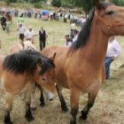 Pese a la tormenta, el trasiego de animales, ganaderos y curiosos fue seguido en San Emiliano