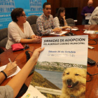 Natalia Ramos, de Peludines, con el edil Mendo y la responsable del albergue Victoria Álvarez. ANA F. BARREDO